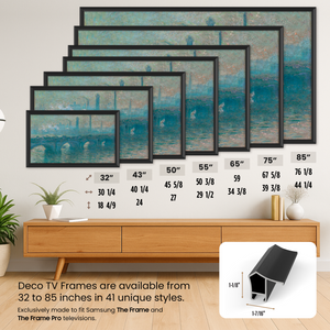 samsung the frame anodized black alloy frame