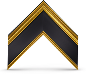 Black Gold Samsung the Frame