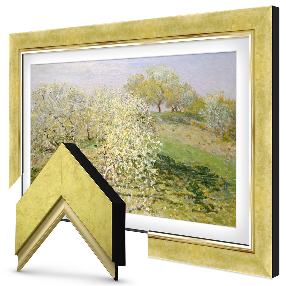 Deco TV Frames Samsung the Frame TV Contemporary Gold