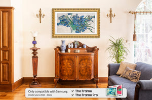 Deco TV Frames Samsung the Frame TV Ornate Gold