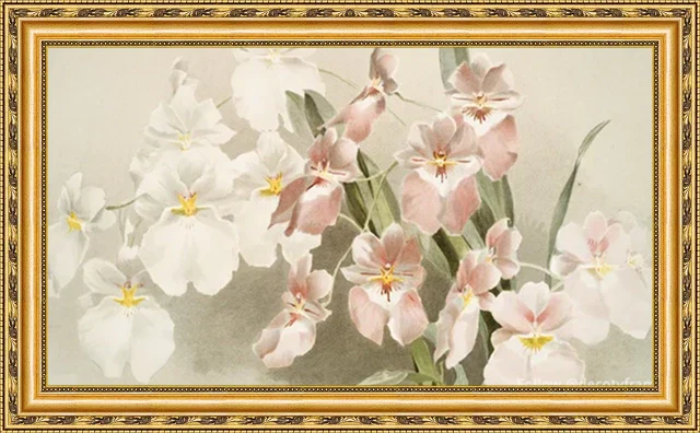 Frame Maintenance: Keeping Your Samsung Frame TV Frames Looking New