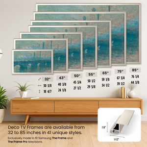 samsung the frame german silver alloy scoop frame