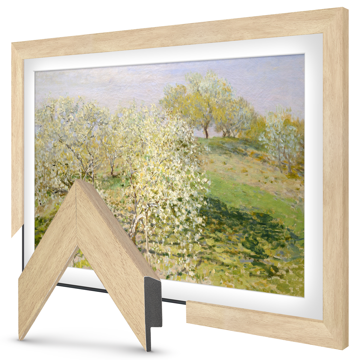 Museum Maple