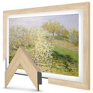 Museum Maple