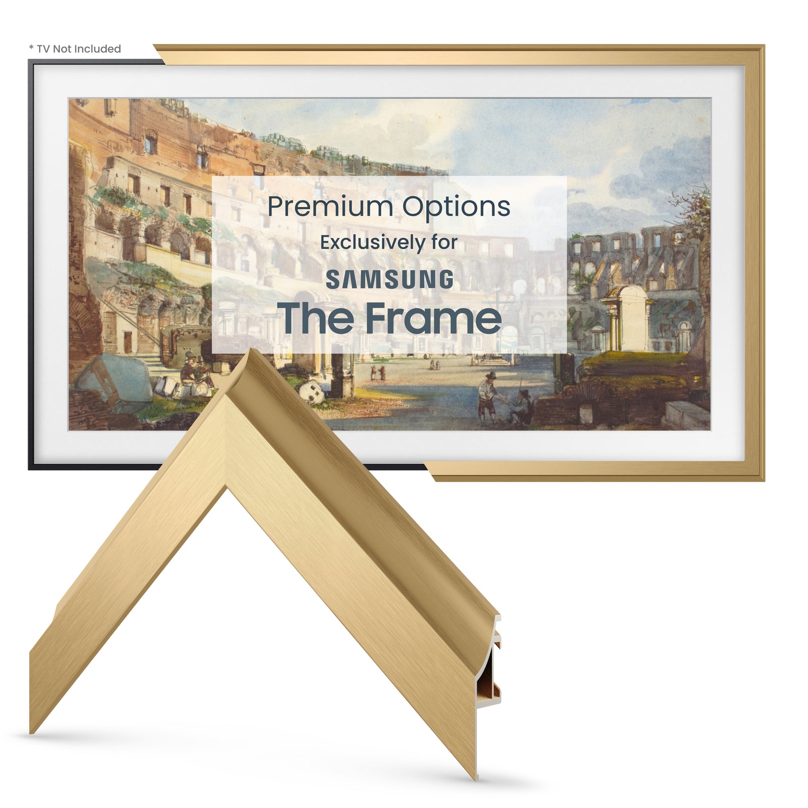 Pale Gold - Alloy Scoop Samsung Frame Bezel (2017-2020)