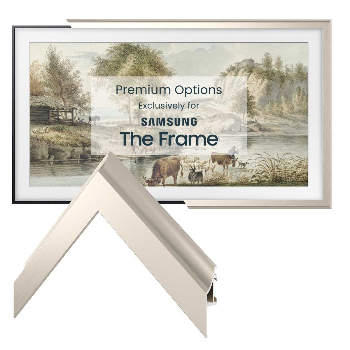 samsung the frame german silver alloy scoop frame