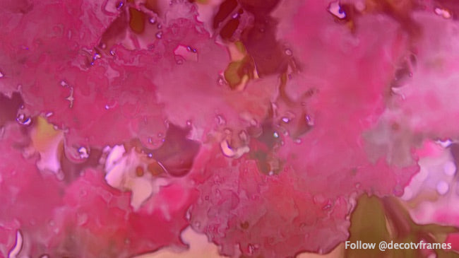 Mirto crepé abstracto