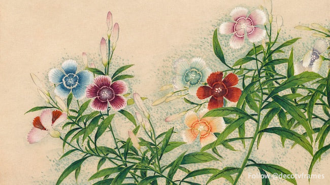 Roses (18e siècle) 