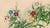 Roses (18e siècle) 