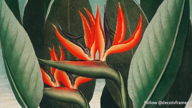 La reina: planta del templo de la flora (1807) 