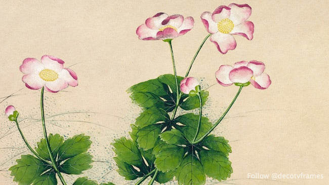 Fleurs de mauve (XVIIIe siècle) 