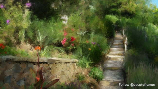 Maison des papillons 