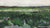 Landscape with Wheelbarrow (1883
