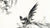 Japanese Magpie and Waterfall illustration from Pictorial Monograph of Birds (1885)