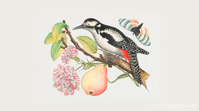 The 18th century illustration of a bird perched on a branch which bears a pear, red and white blossoms, and leaves with a ladybug and butterfly in upper right corner