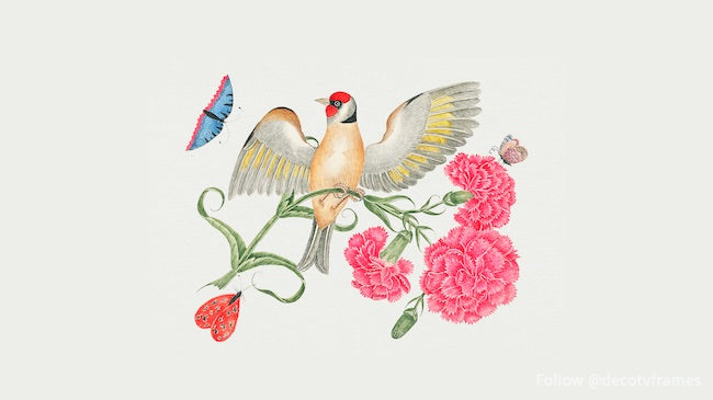 The 18th century illustration of a brown bird with red head on carnation stem with butterflies