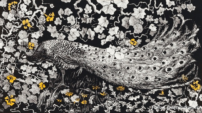 Pauw (vers 1877-1903 ou avant) 