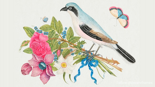 The 18th century illustration of a blue bird on a bouquet of roses and tulips with butterflies