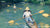 Skiffs sur l'Yerres 